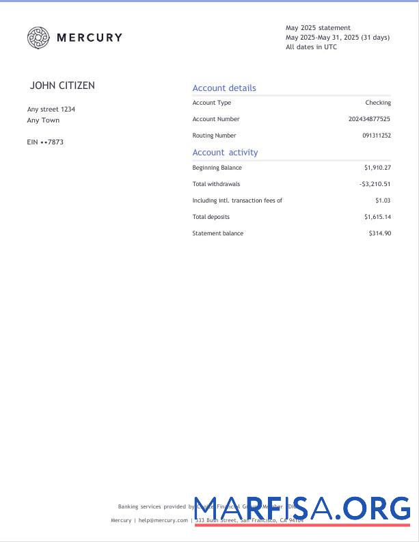 Printable USA CA San Francisco Mercury bank statement word 3 page sample